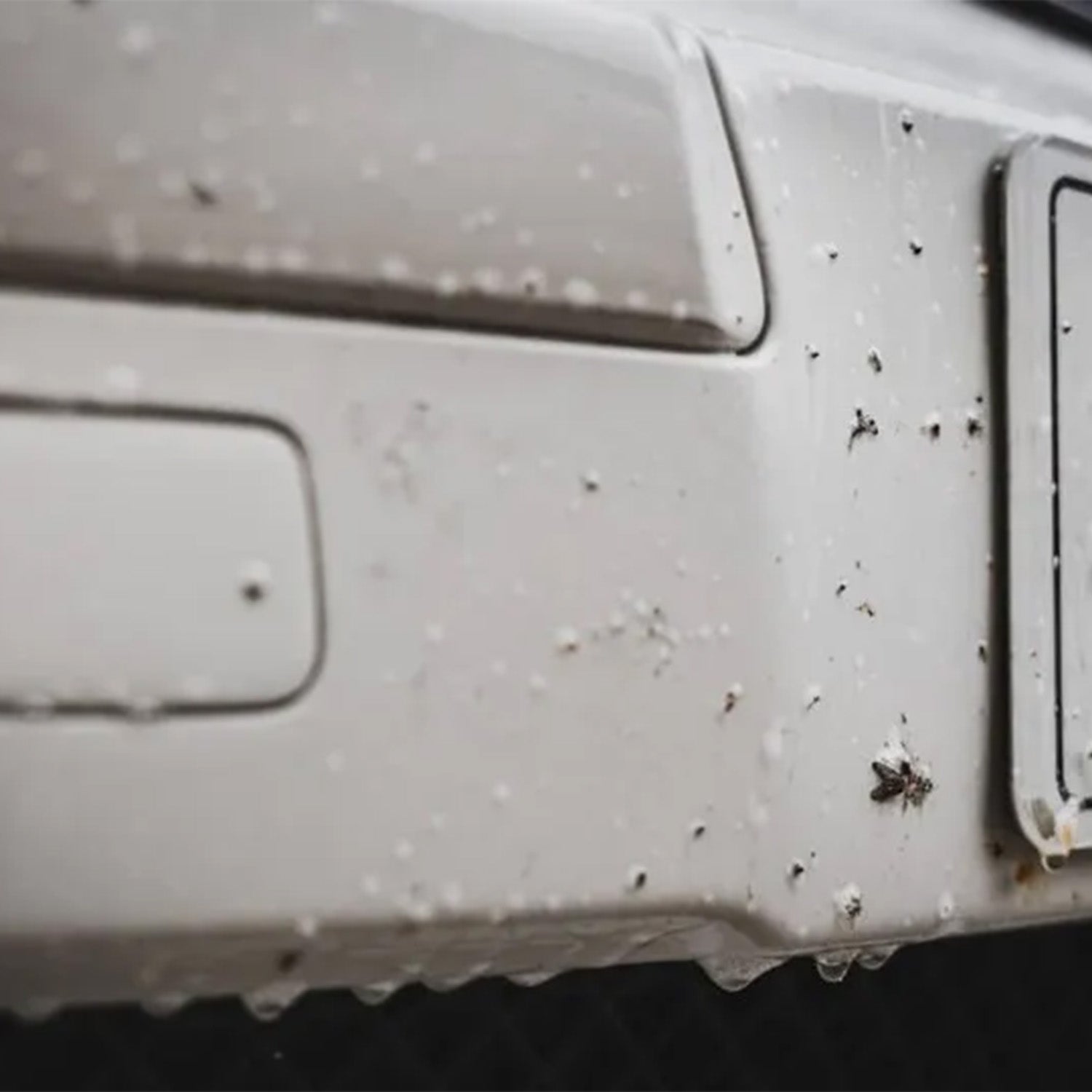 Auto Finesse Citrus Power Bug & Grime Remover Dwelling