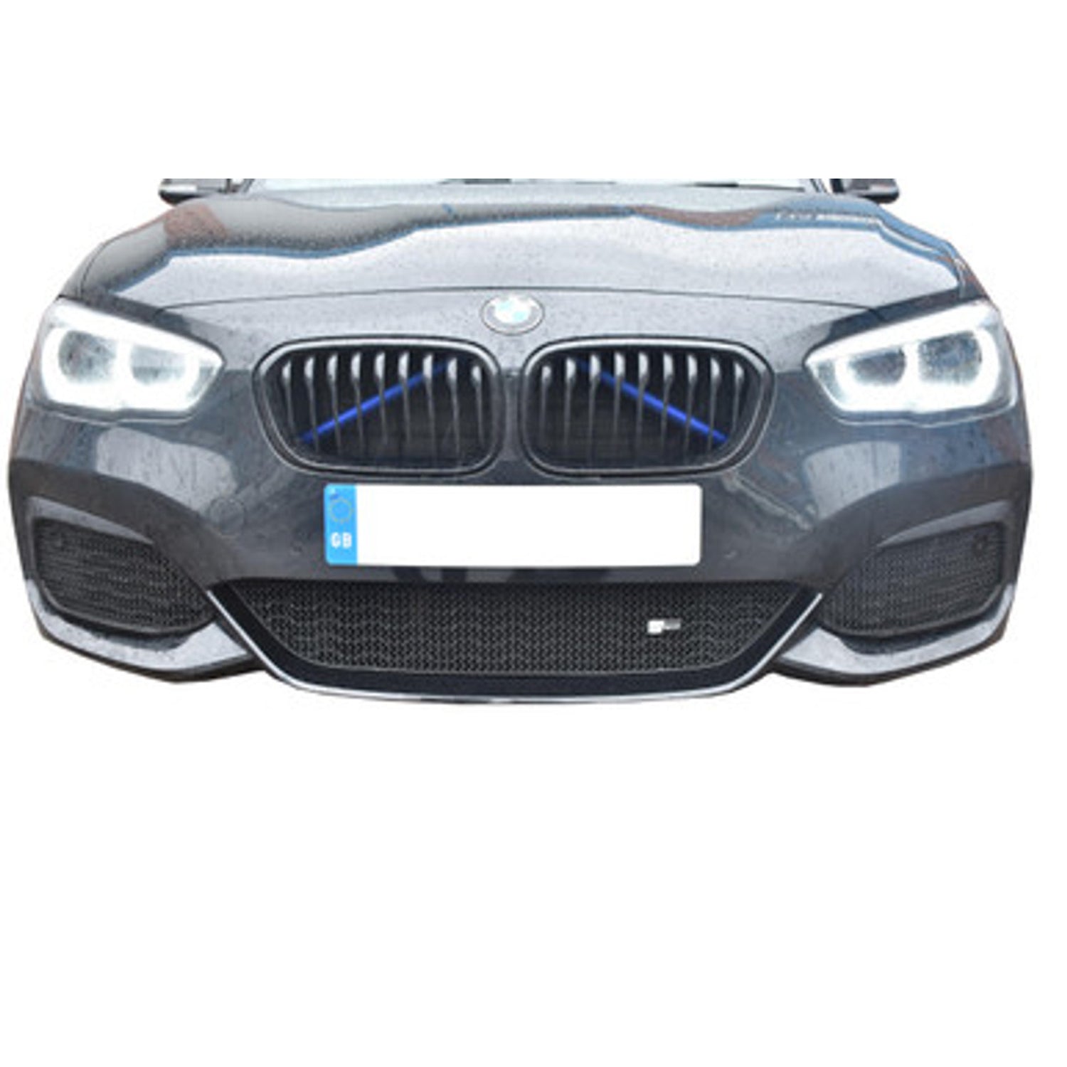 Zunsport BMW F20 & F21 M140i Front Grille Mesh Guard Set