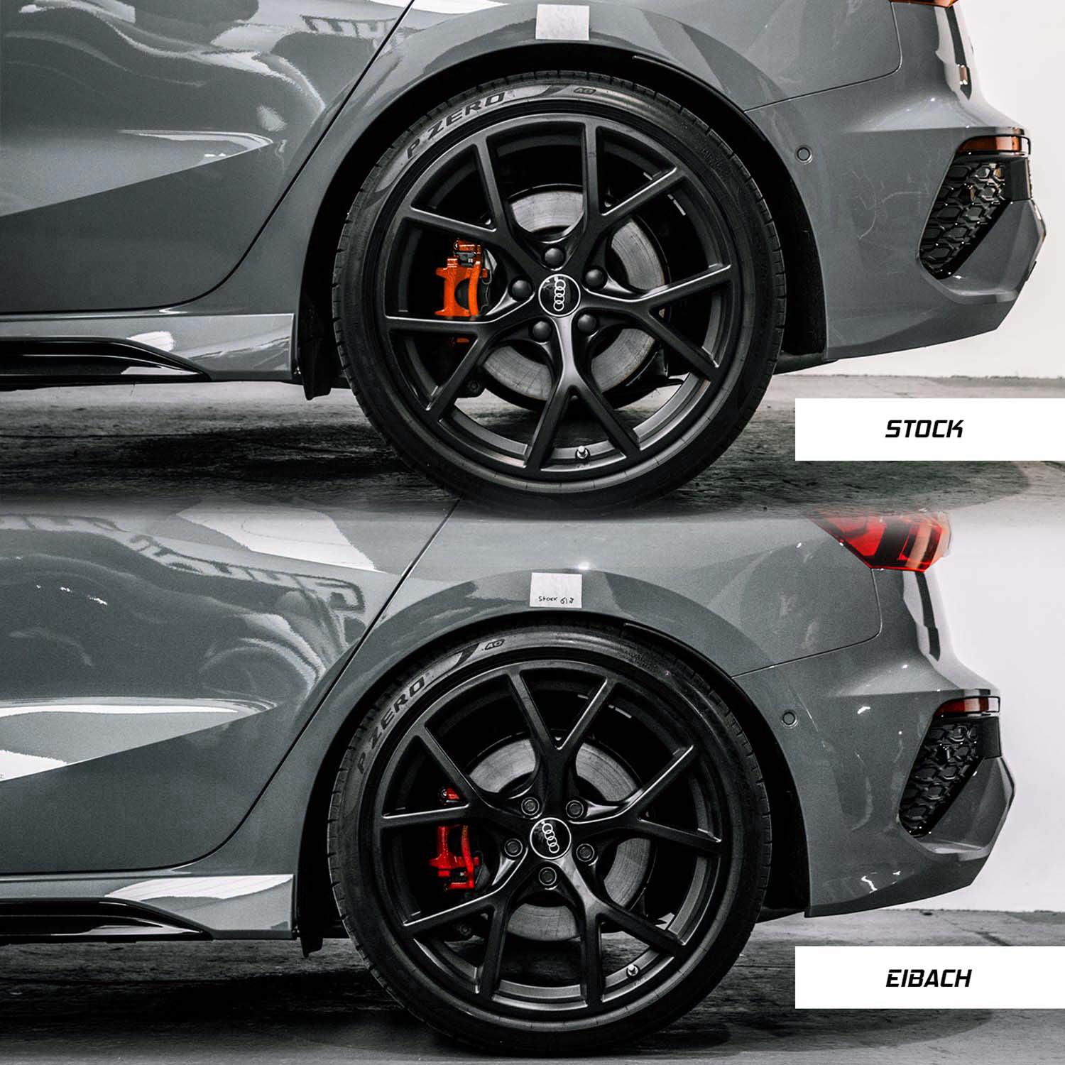 Eibach Audi RS3 Sportline Lowering Springs (8Y)-R44 Performance