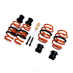 AST Adjustable Lowering Spring Kit for BMW G29 Z4 & Toyota A90 Supra | ALS Kit