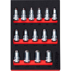 BOXO 15Pc 1/2