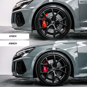 Eibach Audi RS3 Sportline Lowering Springs (8Y)-R44 Performance